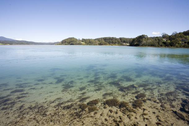 Government begins marine parks review process